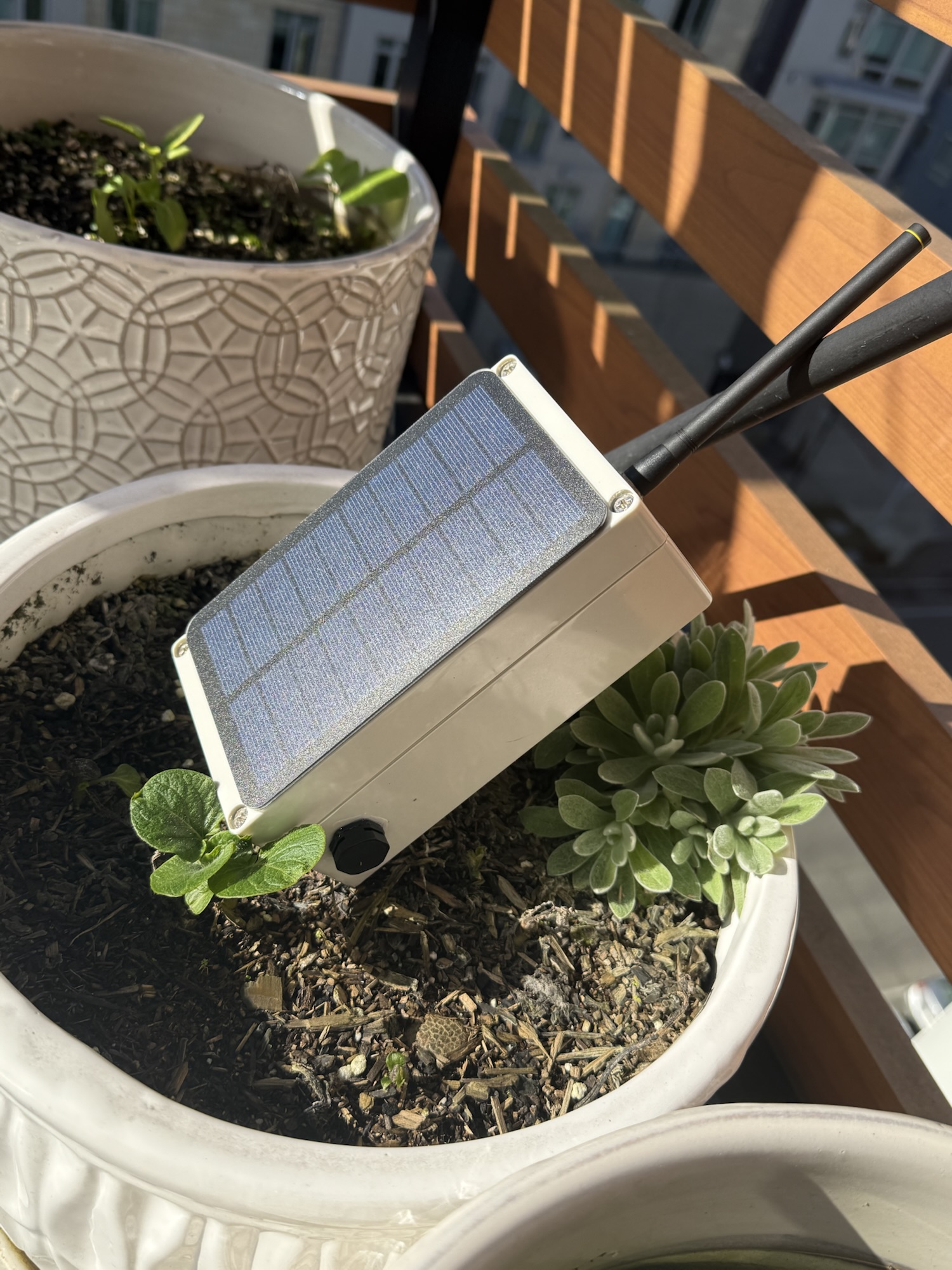 when it’s software… and when it’s physics